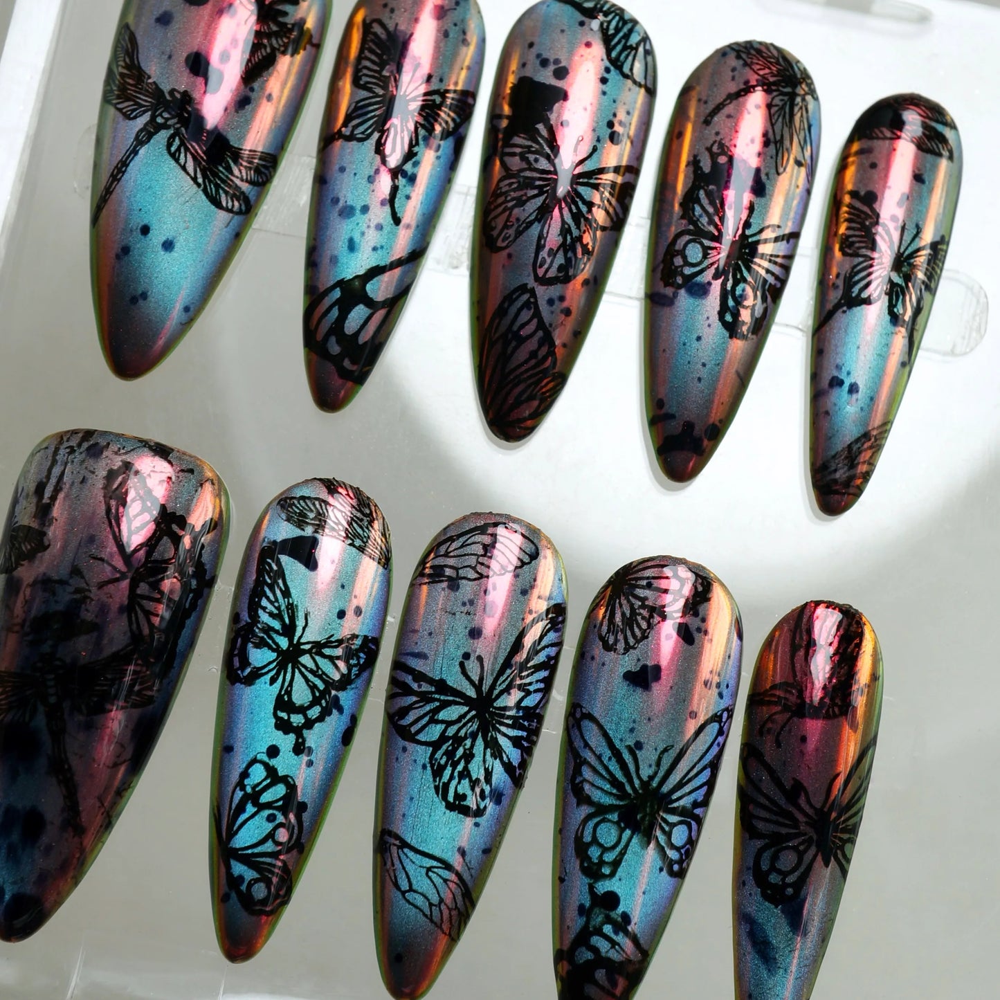Twilight Wings