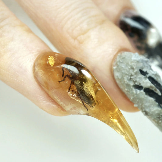 Fossil Claws - Do.nails