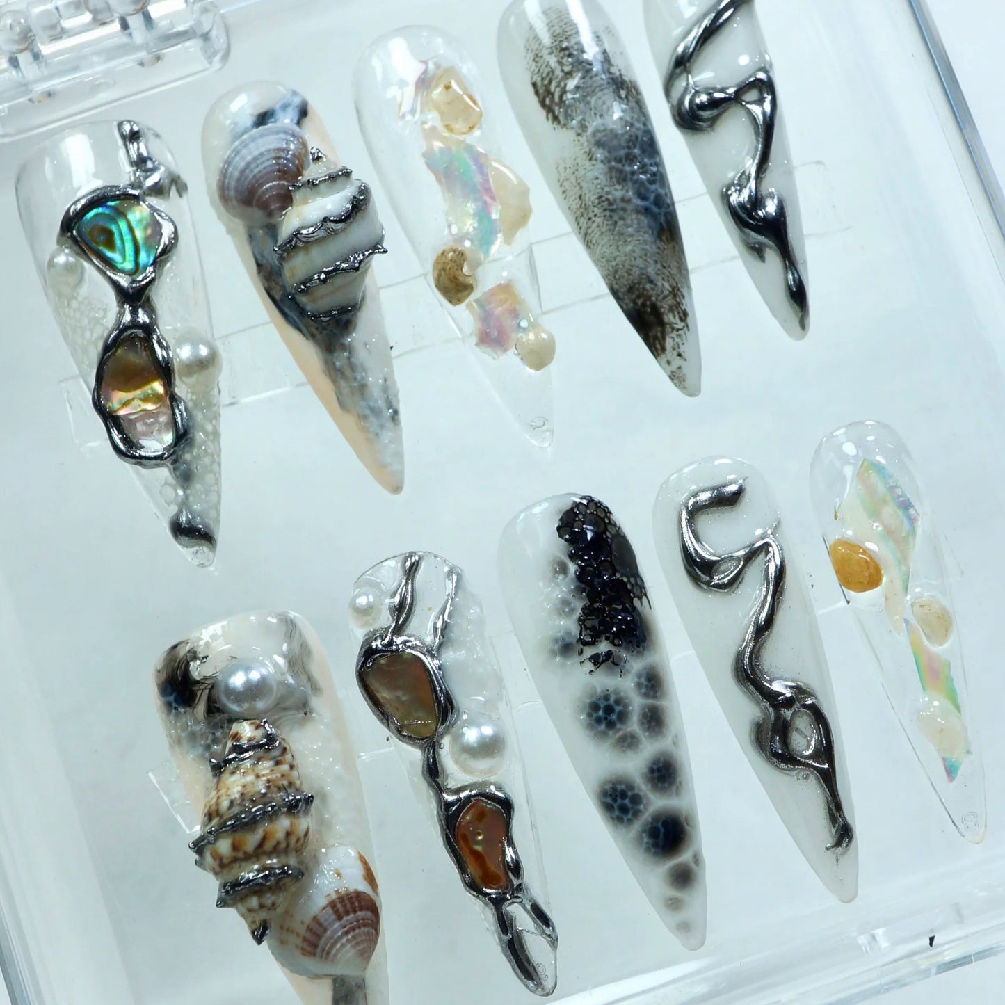 Sea Shells