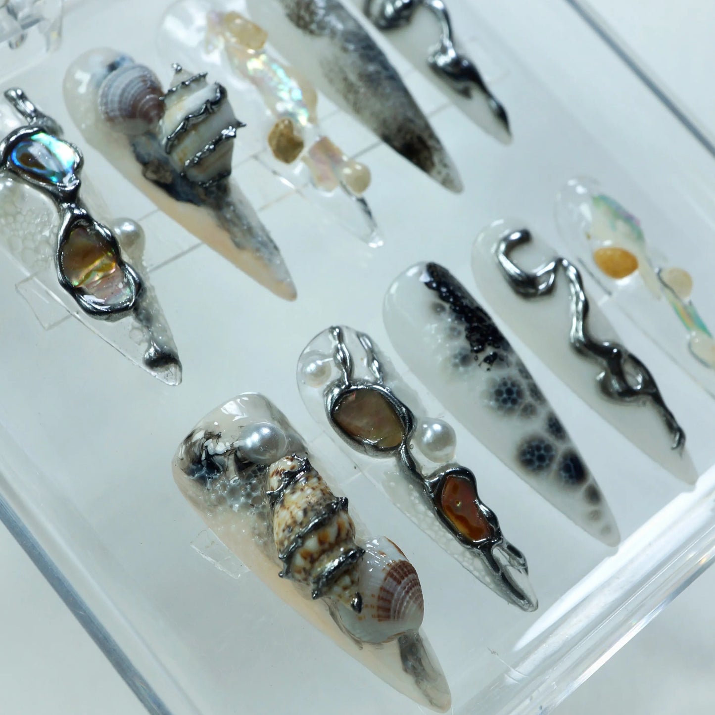 Sea Shells