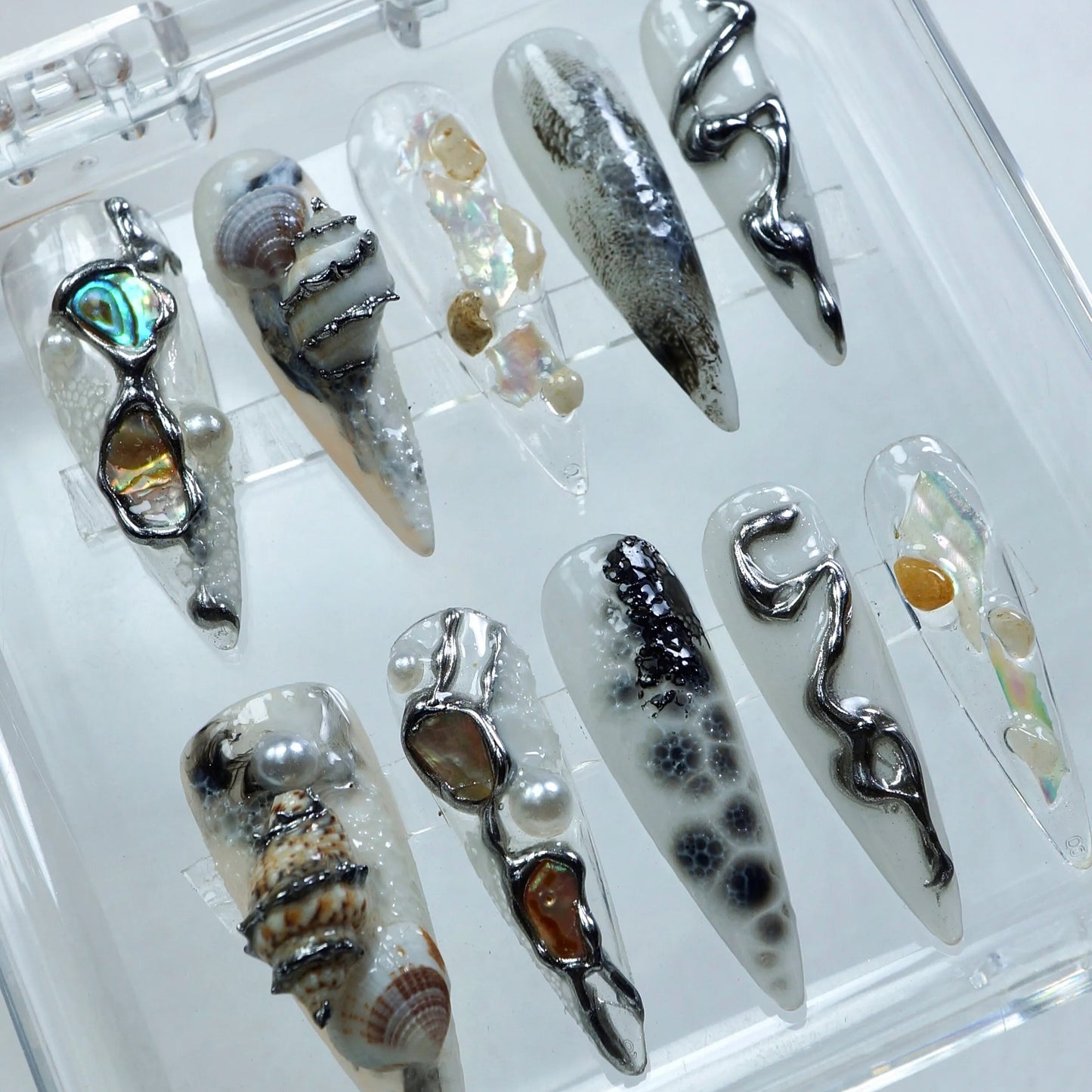 Sea Shells