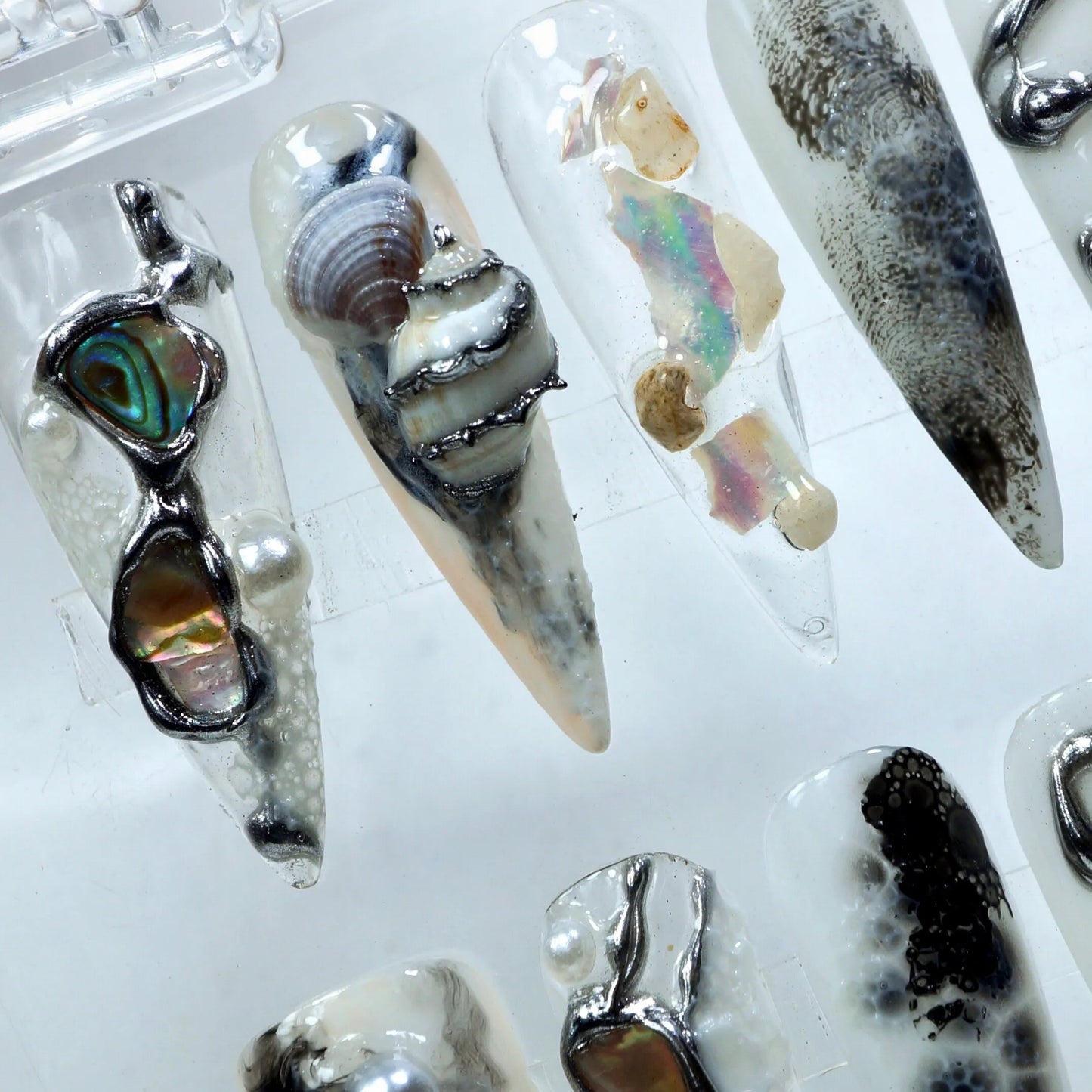 Sea Shells