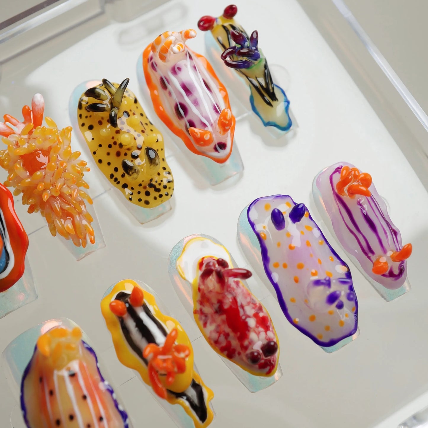Reef Oddities