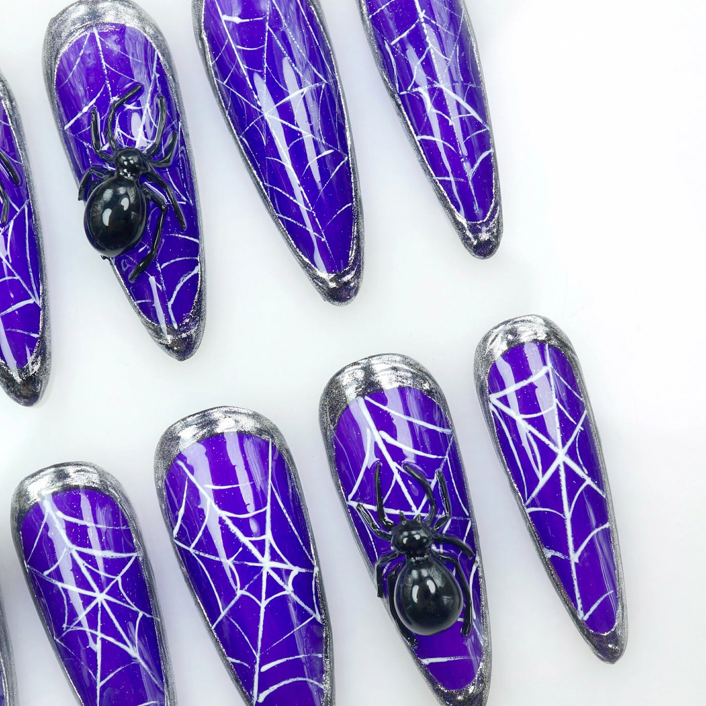 Spider Web