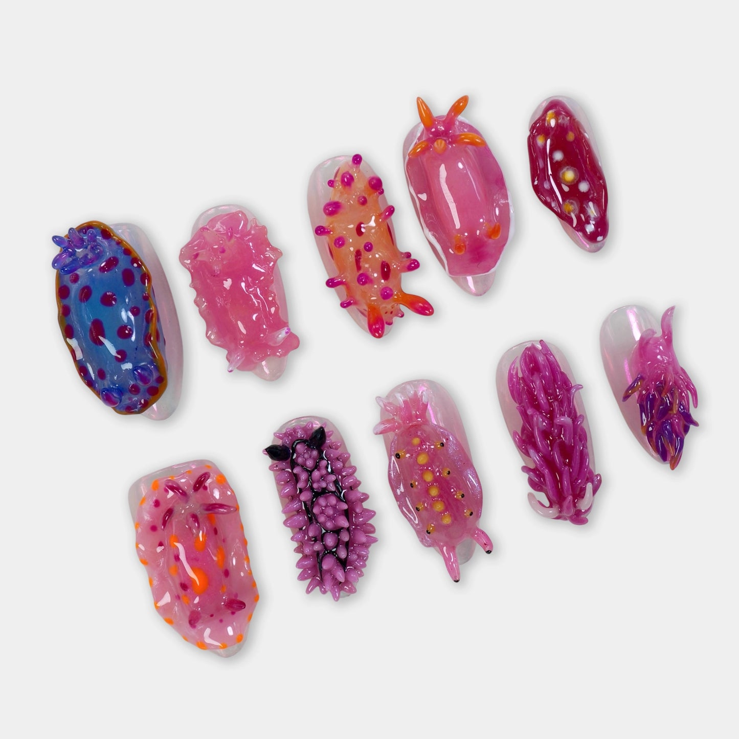 Sea Slug