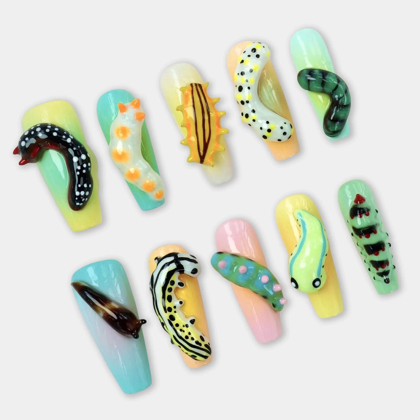 Adorable Grub