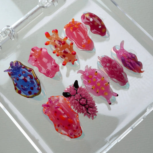 A set of press-on nails designed to resemble colorful nudibranchs (sea slugs), displayed in a clear case. Each nail features a unique sea slug-inspired design with vibrant hues of pink, blue, orange, and purple, and detailed textures imitating the creatures' shapes and appendages