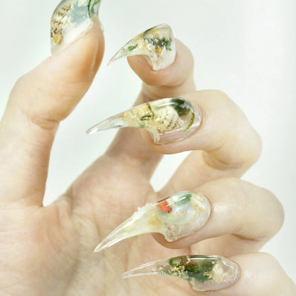 Aquarium Claws - Do.nails