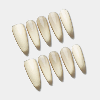 XM2 | Champagne Veil