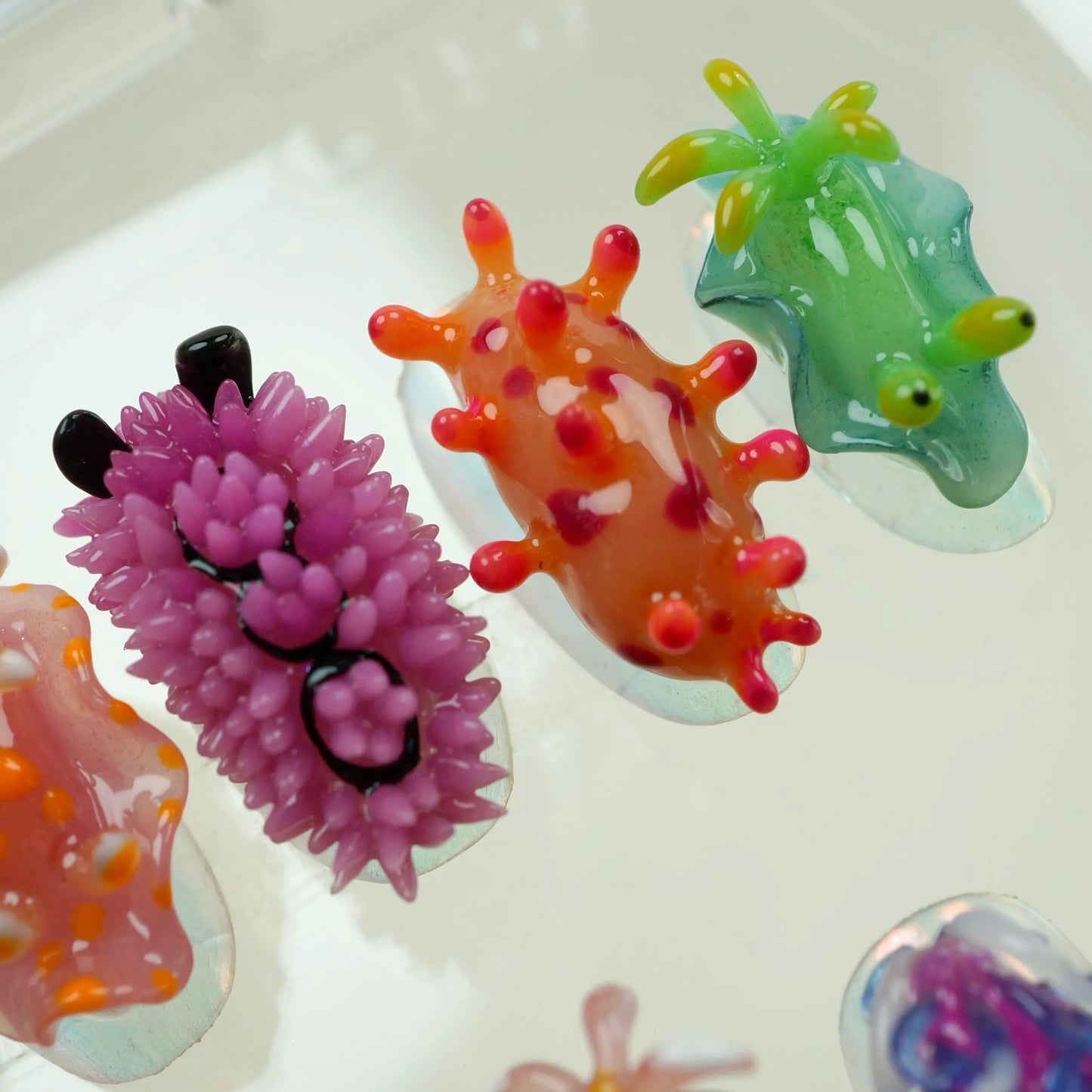 Sea Slug Color