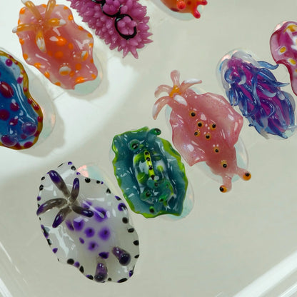 Sea Slug Color