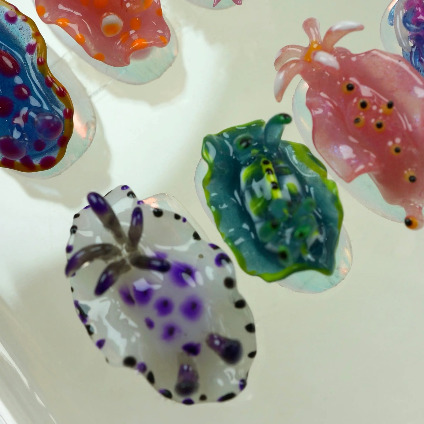 Sea Slug Color