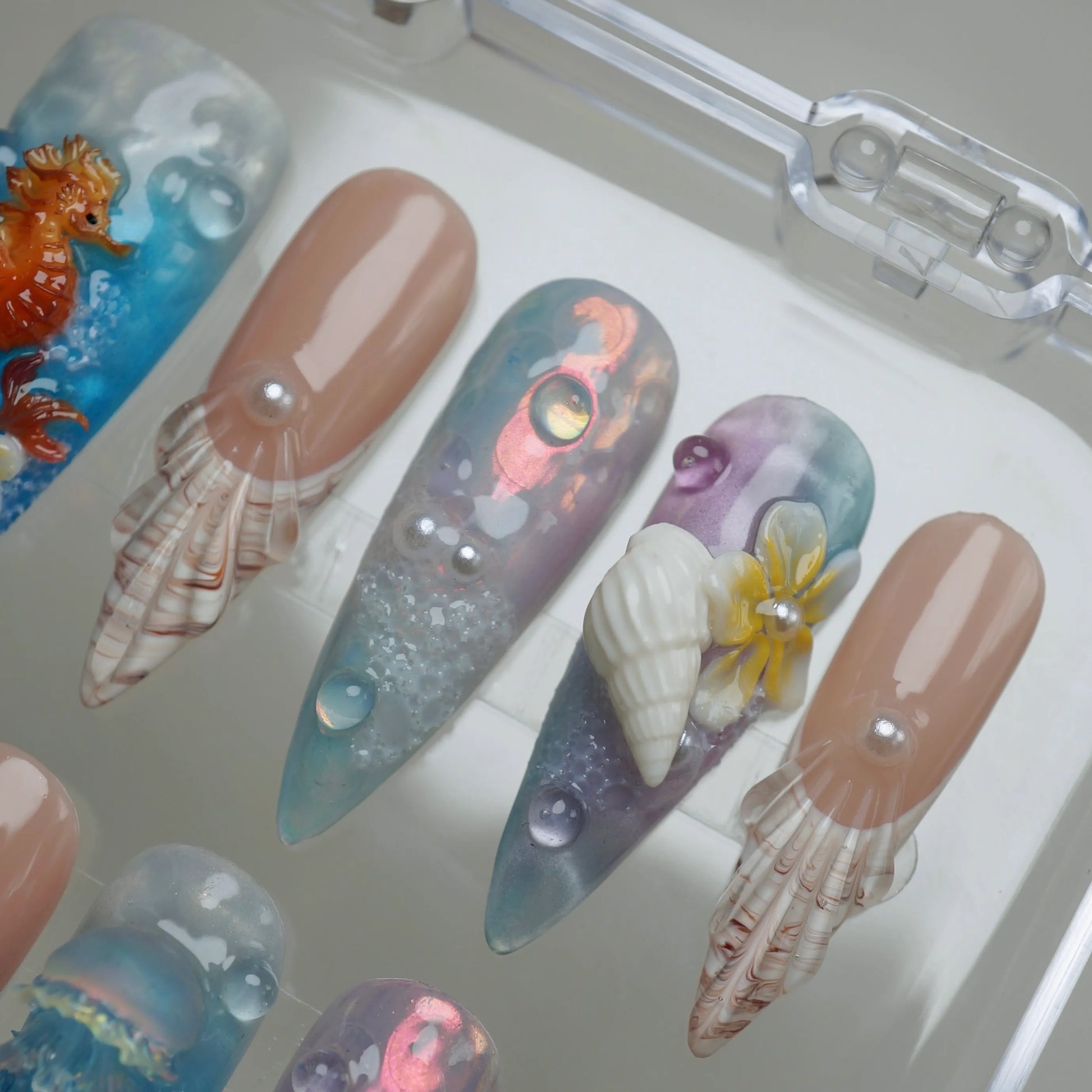 Calypsea - Donailsart
