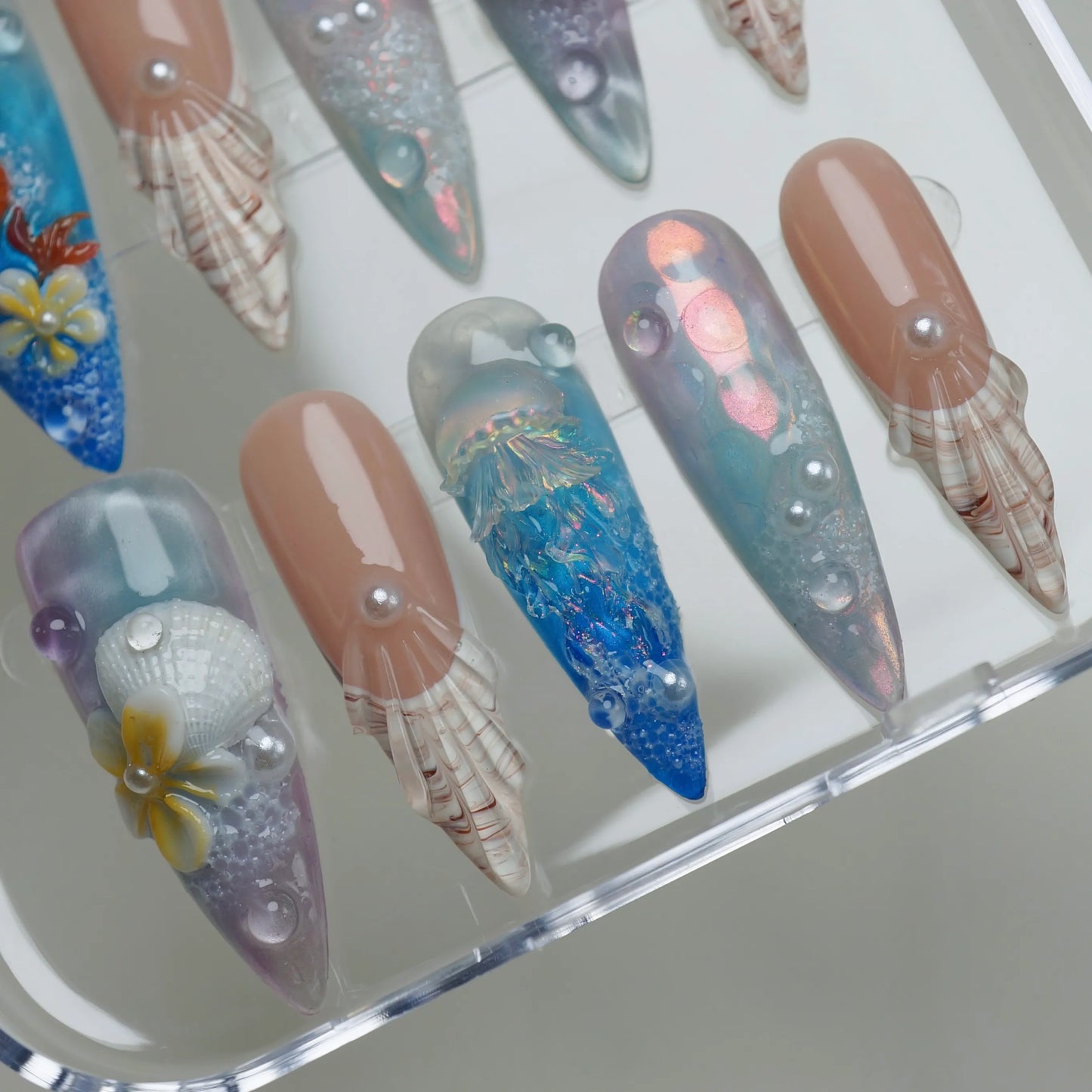 Calypsea - Donailsart