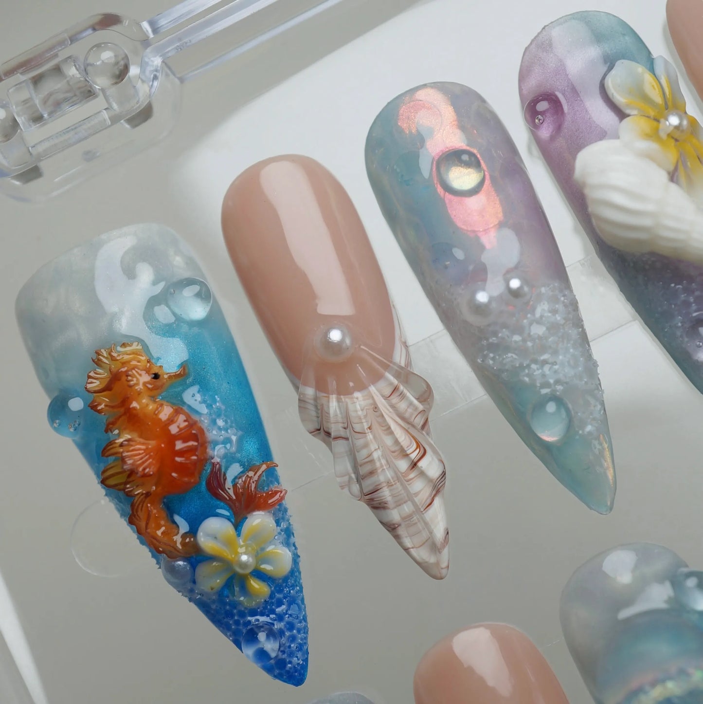 Calypsea - Donailsart