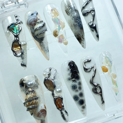 Sea Shells