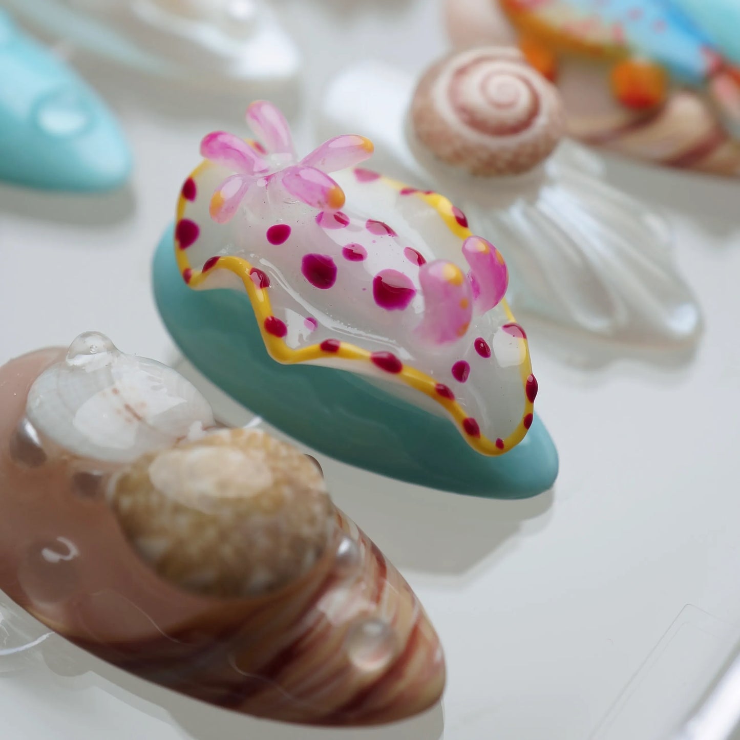 Colorful sea slug on a shell with other shells in the background