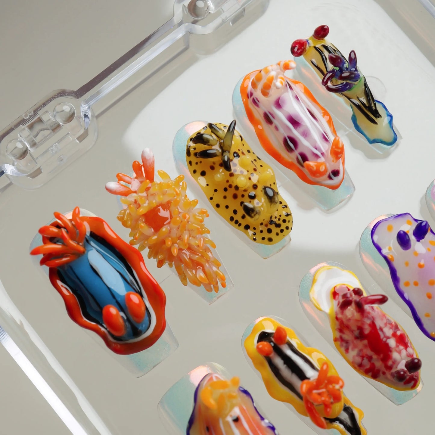 Reef Oddities