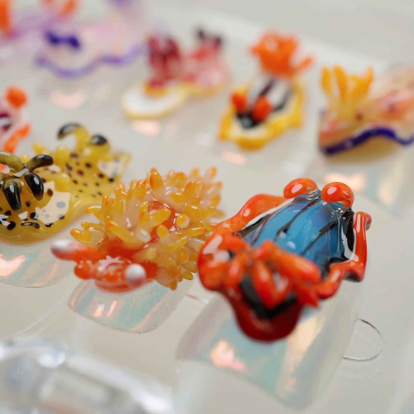 Reef Oddities