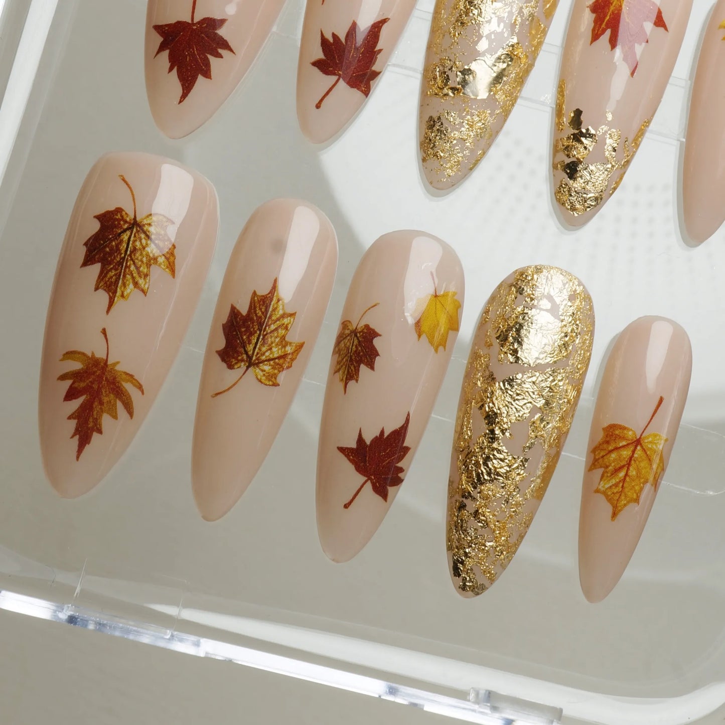 Maple Drift