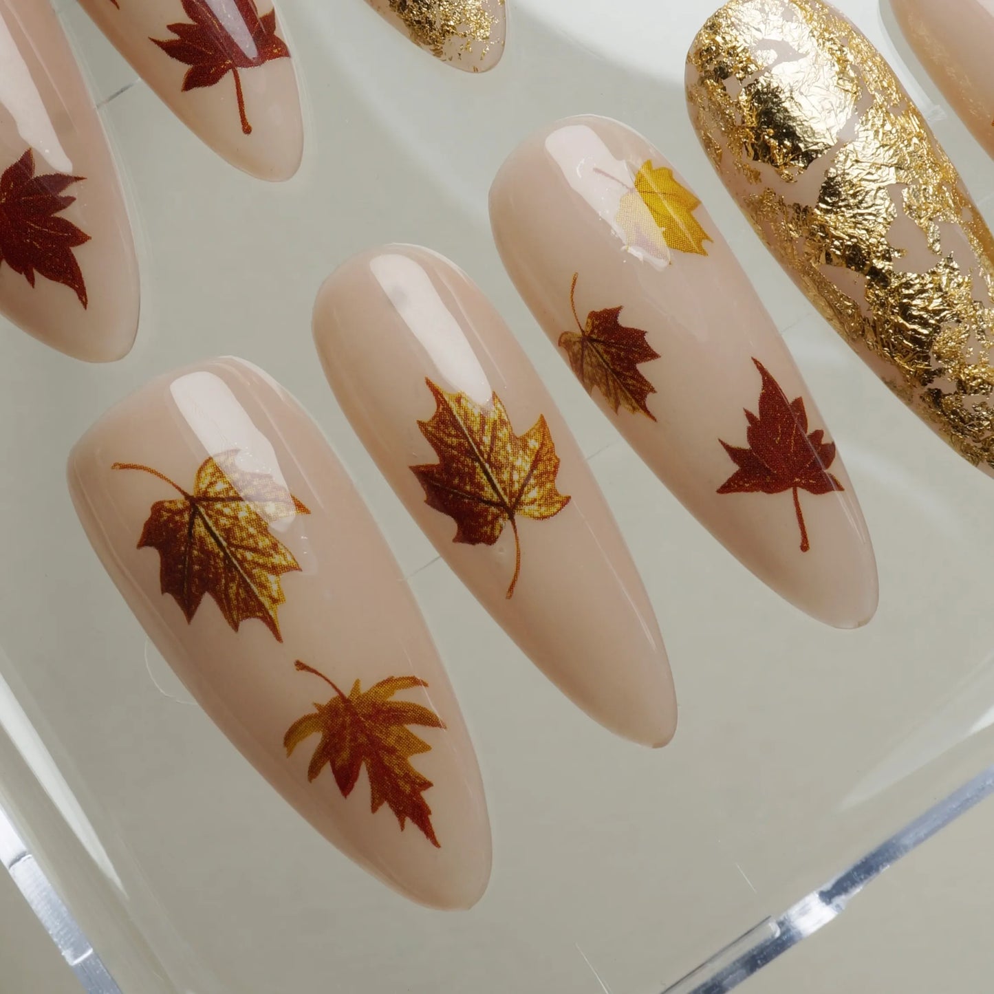 Maple Drift