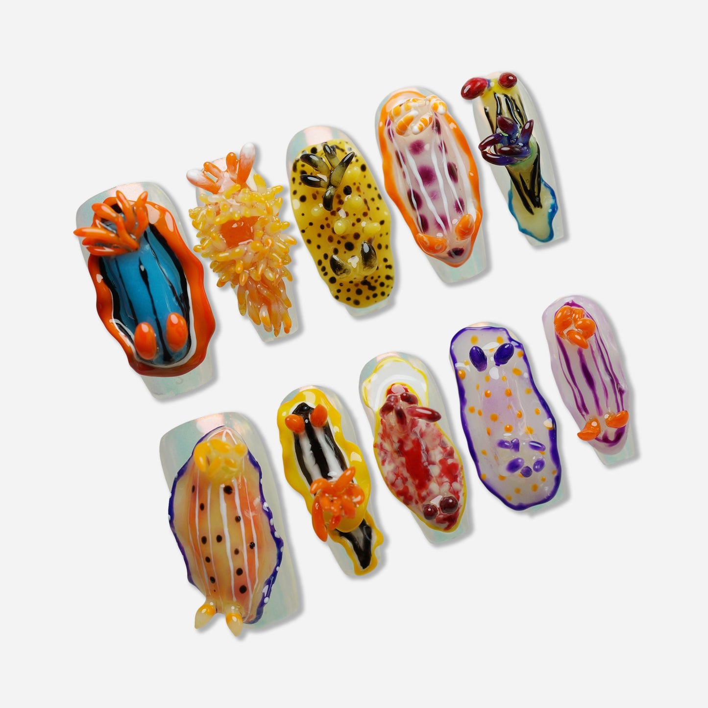 Reef Oddities
