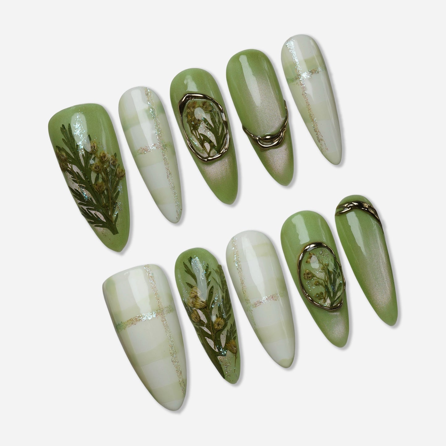 Verdisia - Donailsart