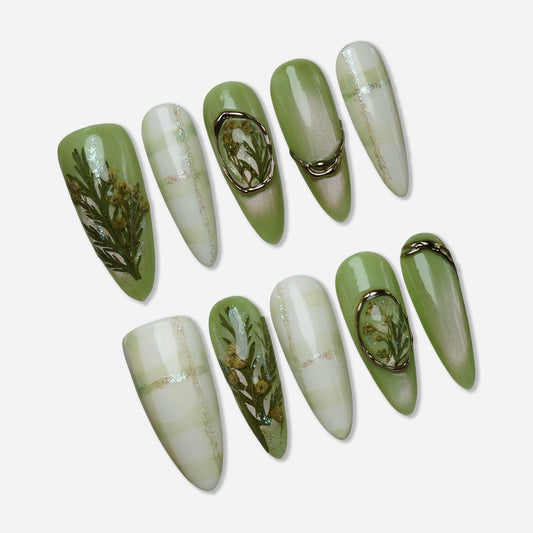 Verdisia - Donailsart
