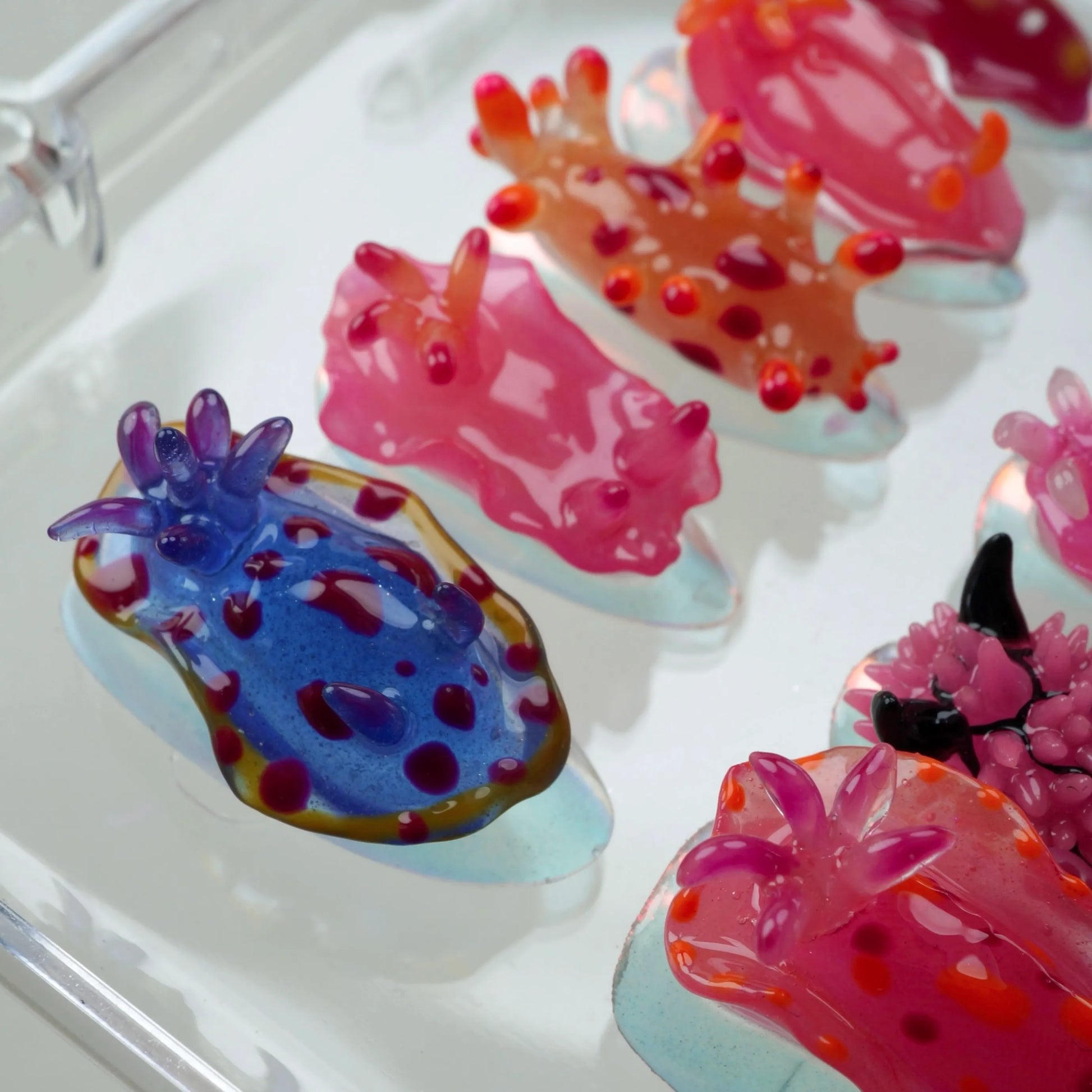 A set of press-on nails designed to resemble colorful nudibranchs (sea slugs), displayed in a clear case. Each nail features a unique sea slug-inspired design with vibrant hues of pink, blue, orange, and purple, and detailed textures imitating the creatures' shapes and appendages