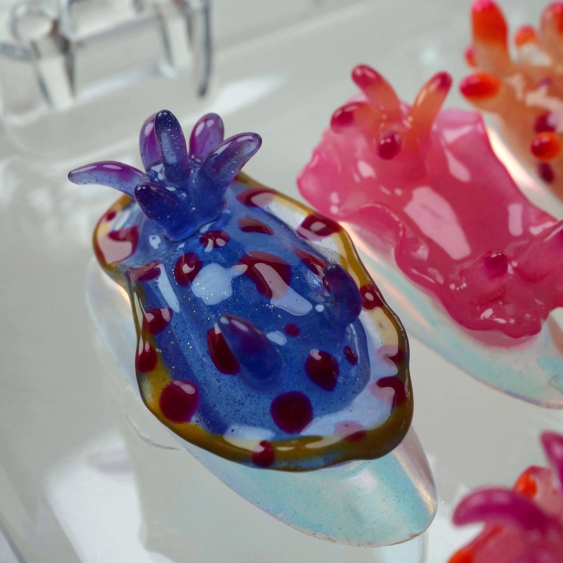 A set of press-on nails designed to resemble colorful nudibranchs (sea slugs), displayed in a clear case. Each nail features a unique sea slug-inspired design with vibrant hues of pink, blue, orange, and purple, and detailed textures imitating the creatures' shapes and appendages