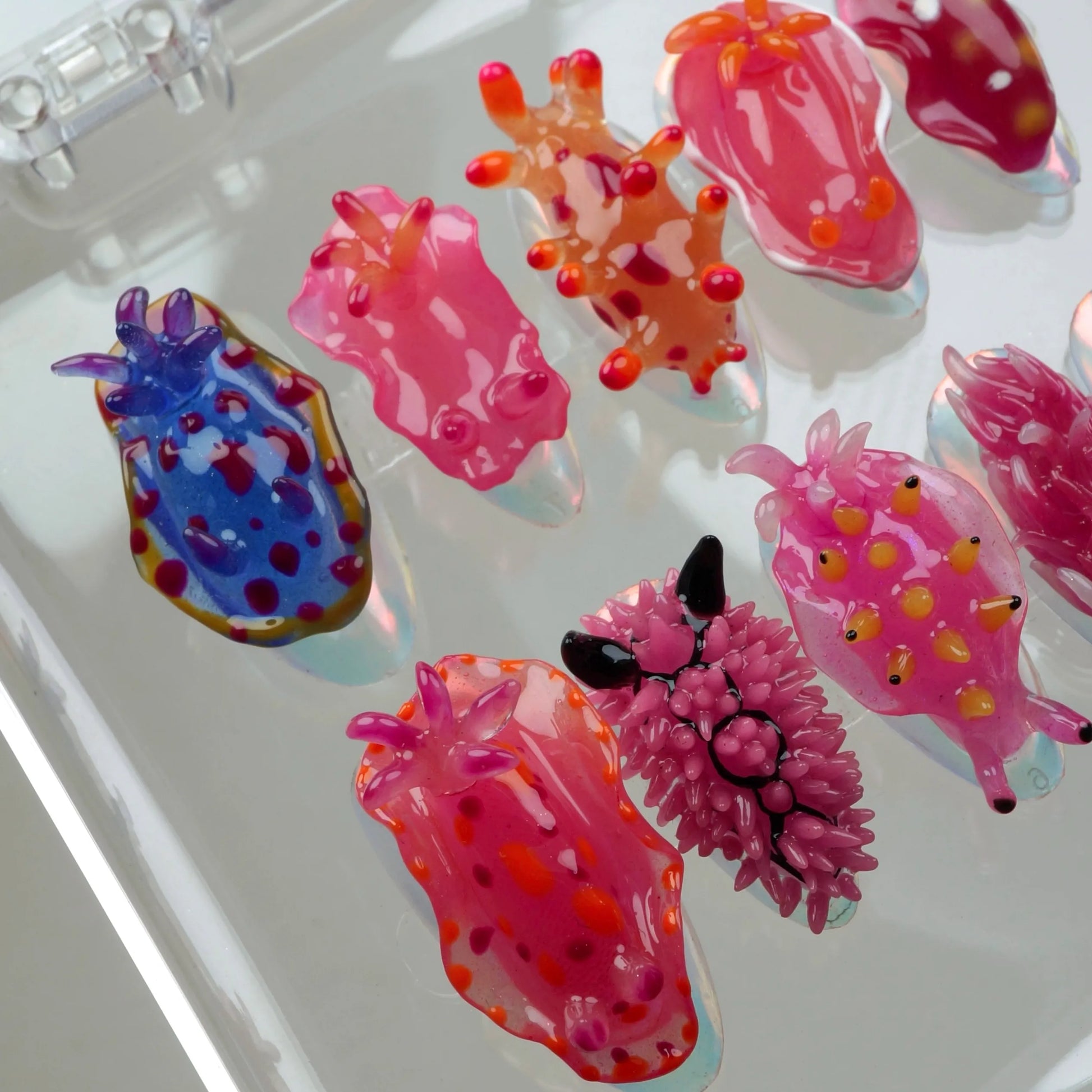 A set of press-on nails designed to resemble colorful nudibranchs (sea slugs), displayed in a clear case. Each nail features a unique sea slug-inspired design with vibrant hues of pink, blue, orange, and purple, and detailed textures imitating the creatures' shapes and appendages